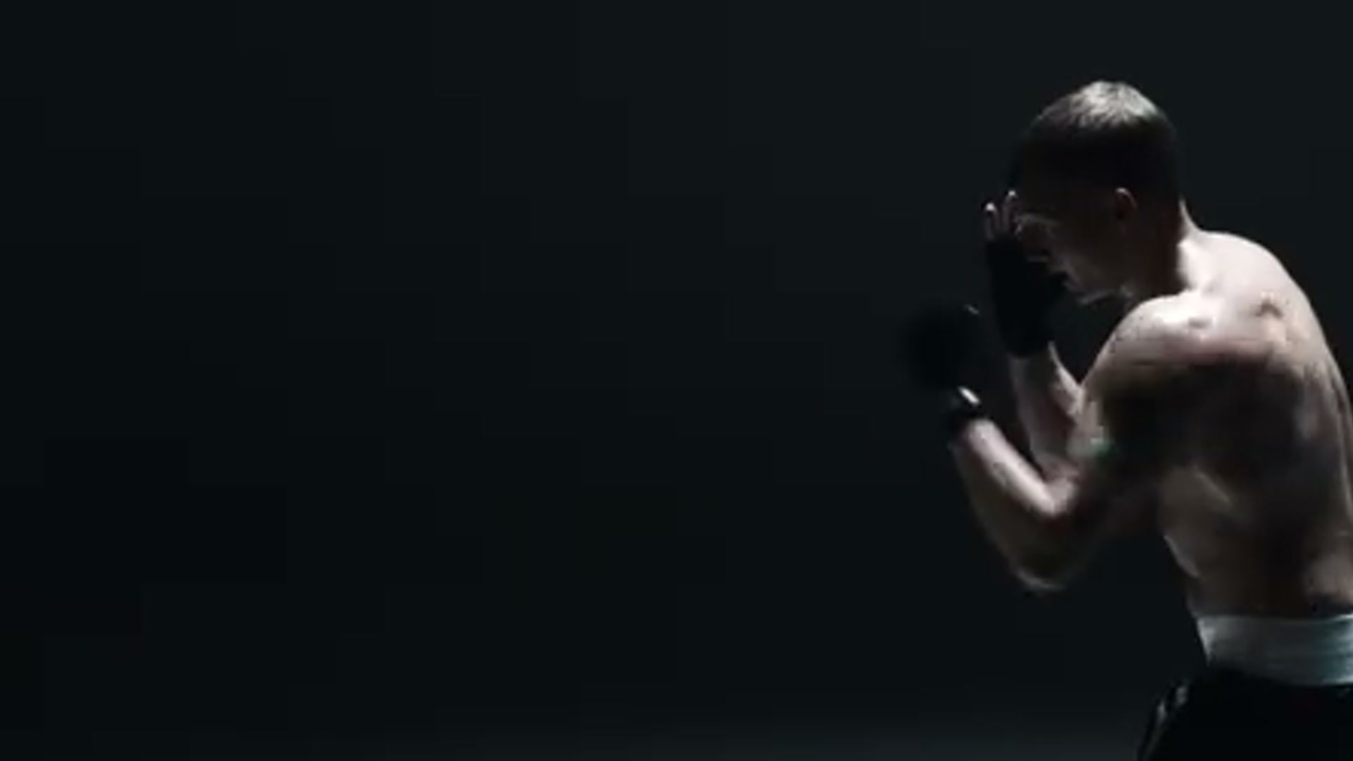The Boxer