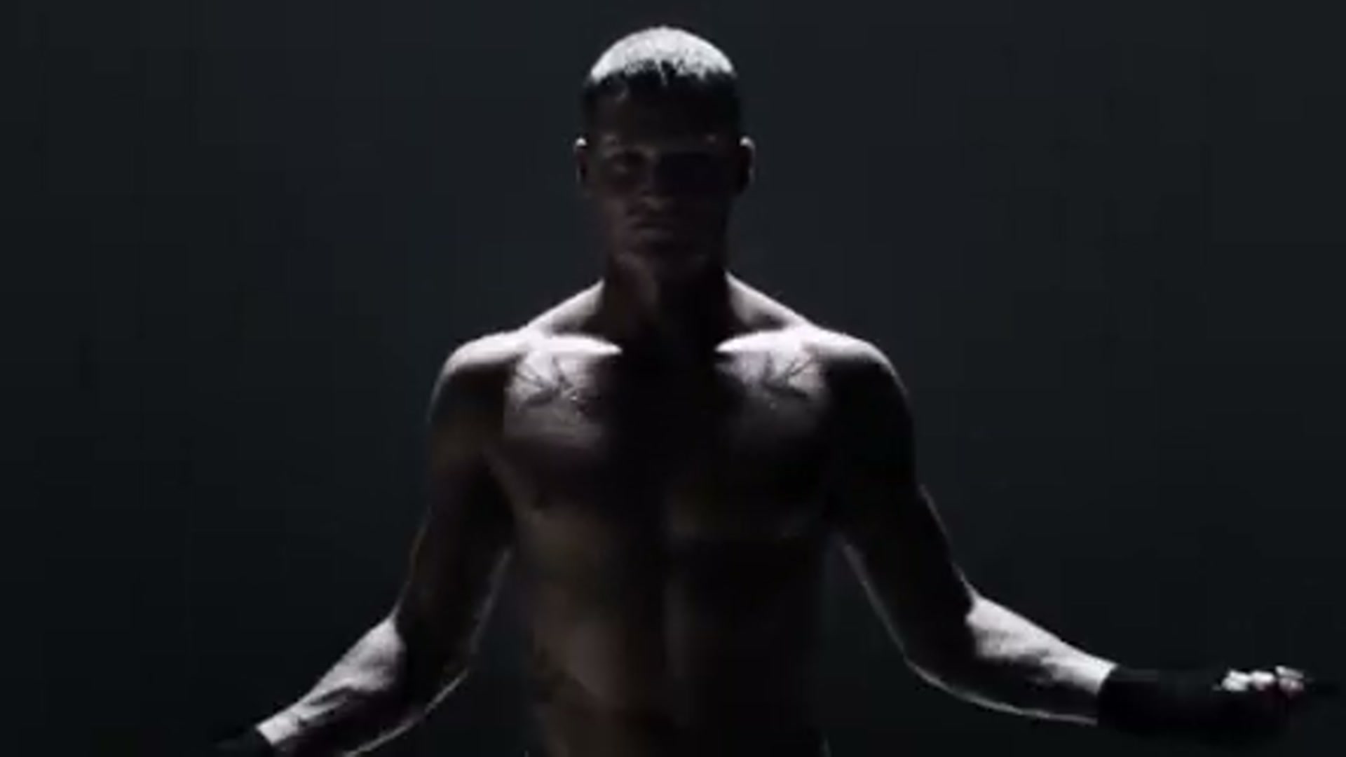 The Boxer
