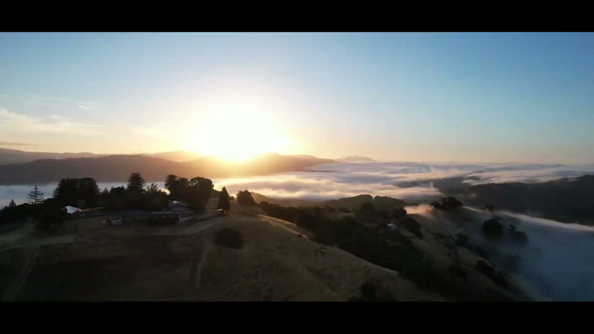 Tim Rangel — Agent Film